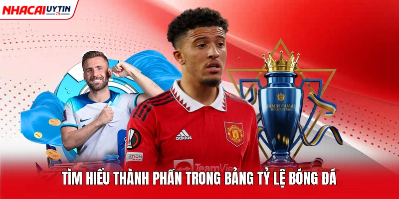Tìm hiểu thành phần trong bảng tỷ lệ bóng đá