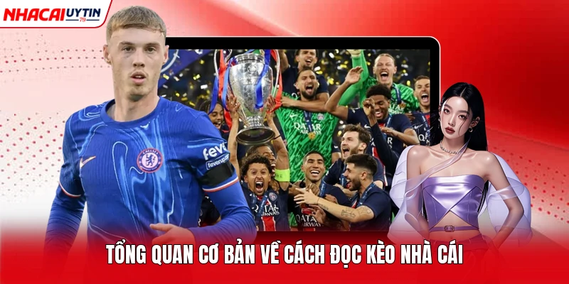Tổng quan cơ bản về cách đọc kèo nhà cái 