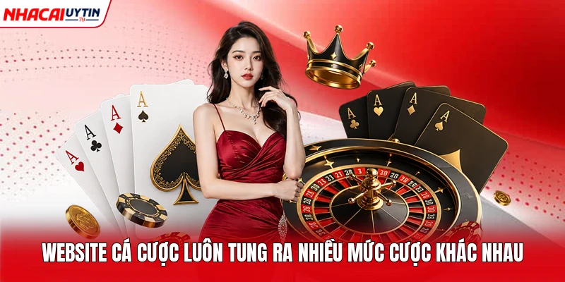 Website cá cược luôn tung ra nhiều mức cược khác nhau